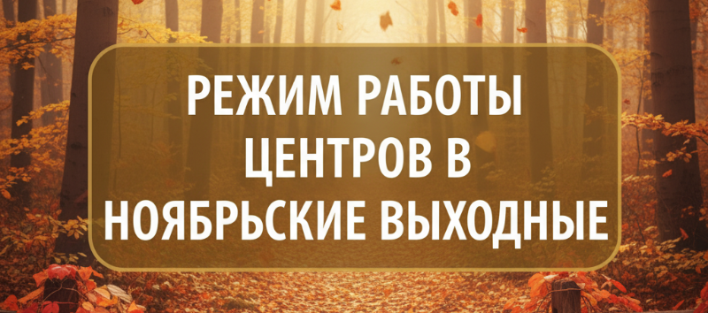 График работы центров 1-4 ноября